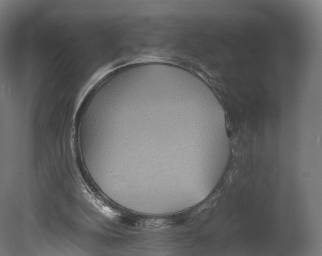 X0000080660152200701121615