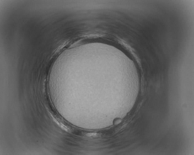 X0000080660153200701121615