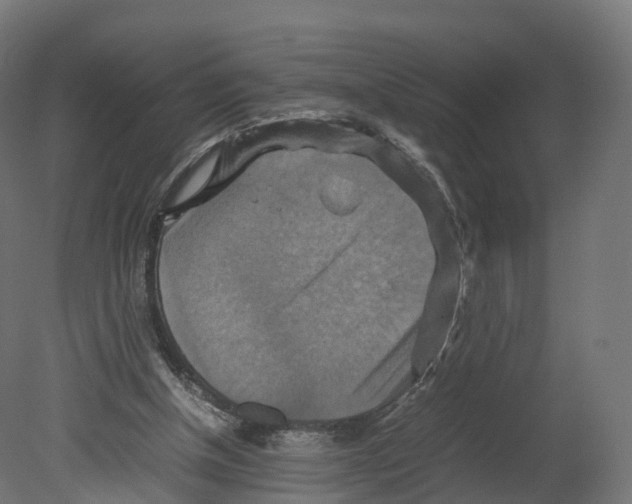 X0000080660154200701121615