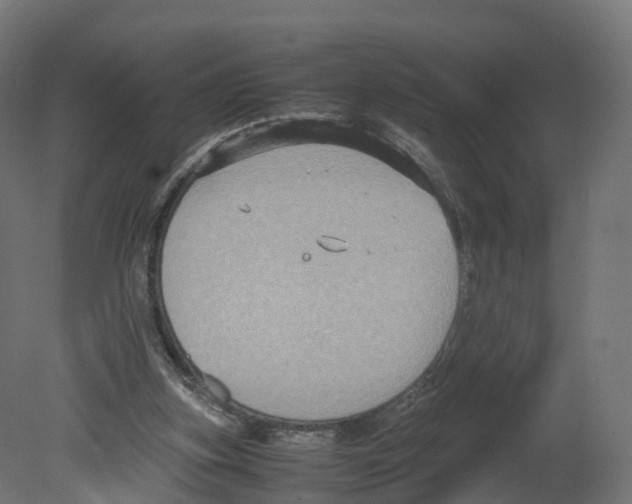 X0000080660155200701121615