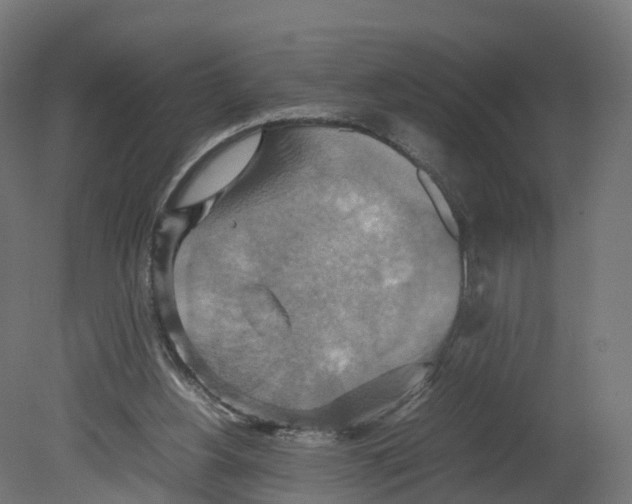 X0000080660156200701121615