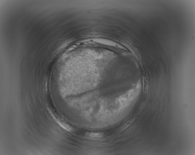 X0000080660157200701121615