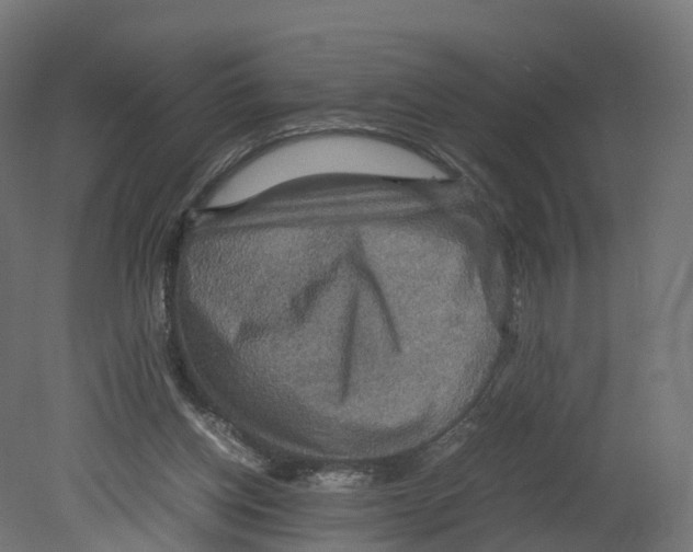 X0000080660158200701121615