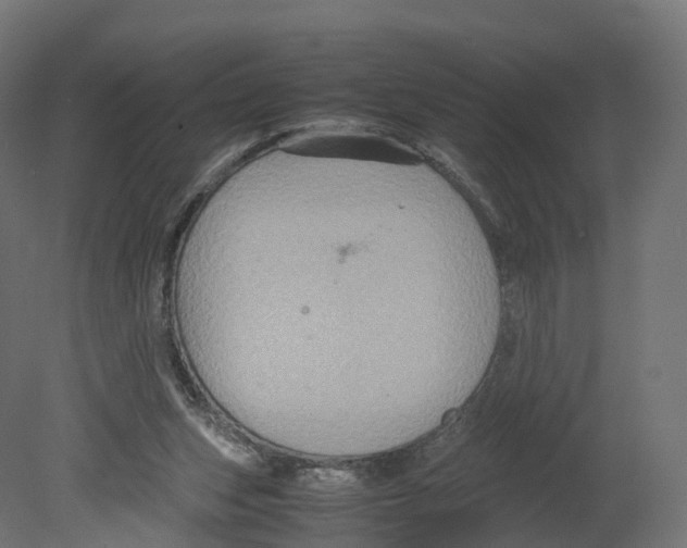 X0000080660159200701121615