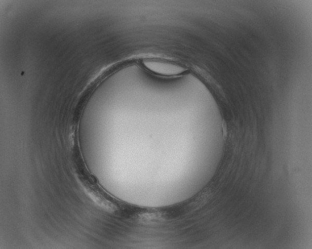 X0000080660160200701121615