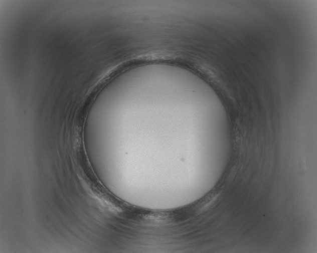 X0000080660164200701121616