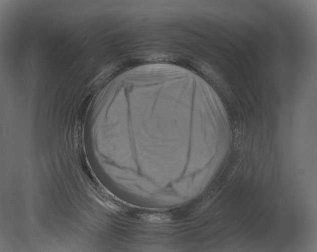 X0000080660165200701121616