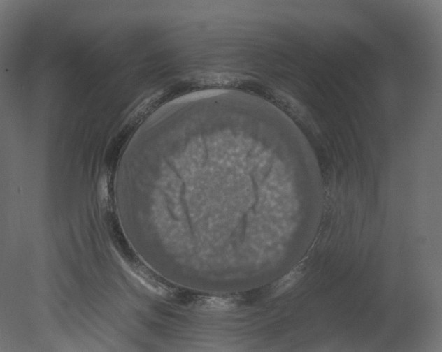 X0000080660166200701121616