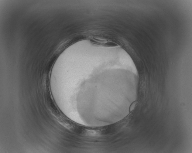 X0000080660167200701121616