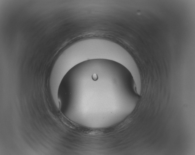 X0000080660168200701121616