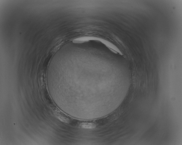 X0000080660169200701121616