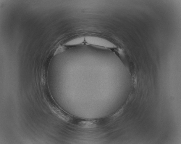 X0000080660170200701121616