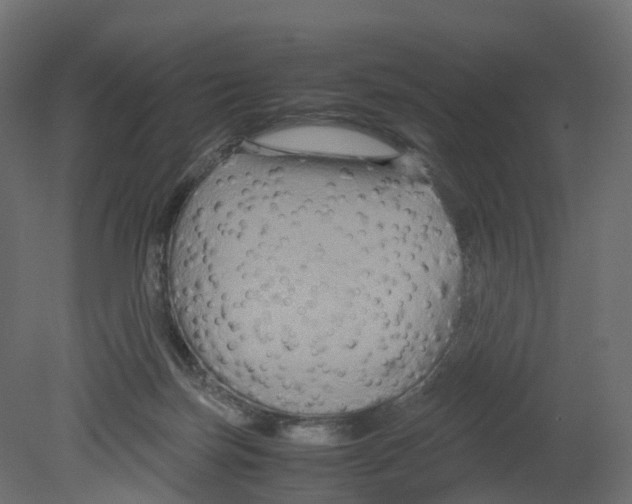 X0000080660171200701121616