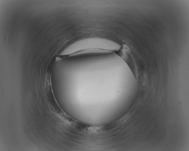 X0000080660172200701121616