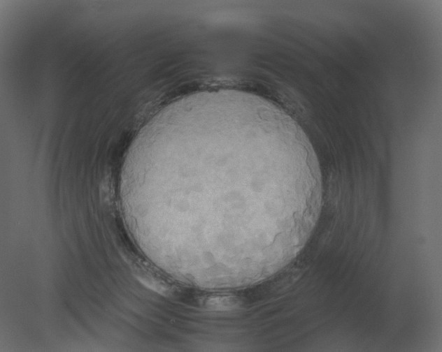 X0000080660173200701121616