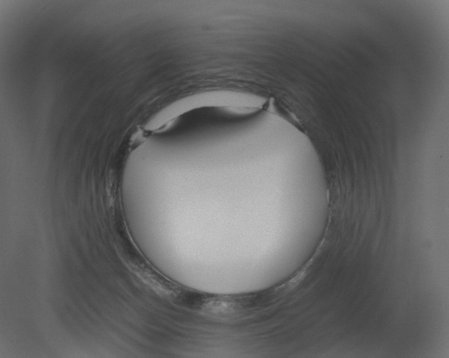 X0000080660174200701121616