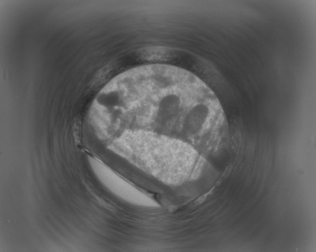 X0000080660175200701121616