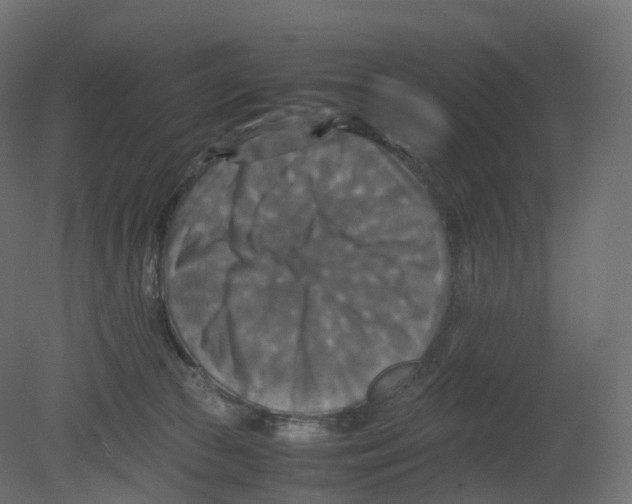 X0000080660177200701121616