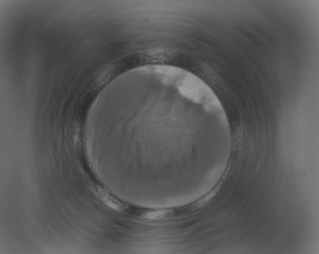 X0000080660178200701121616