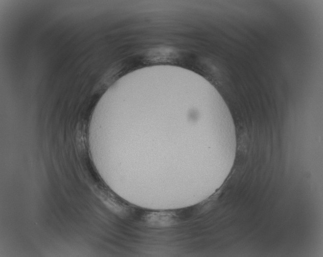 X0000080660179200701121616