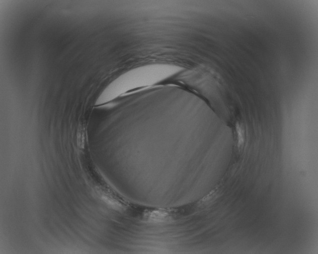 X0000080660180200701121616