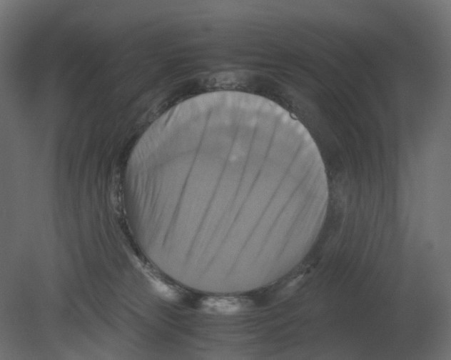 X0000080660181200701121616