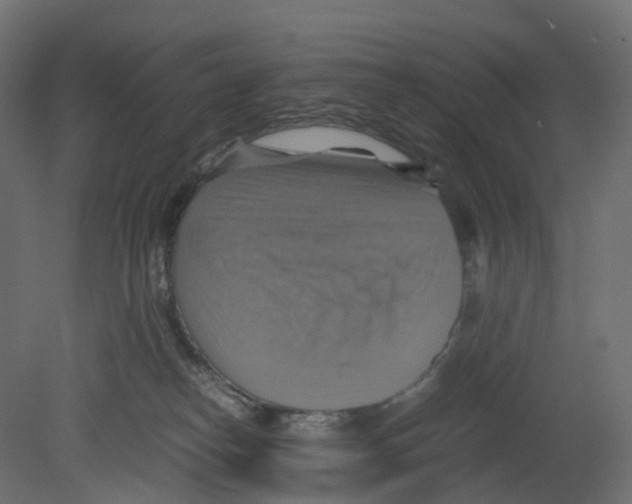 X0000080660182200701121616