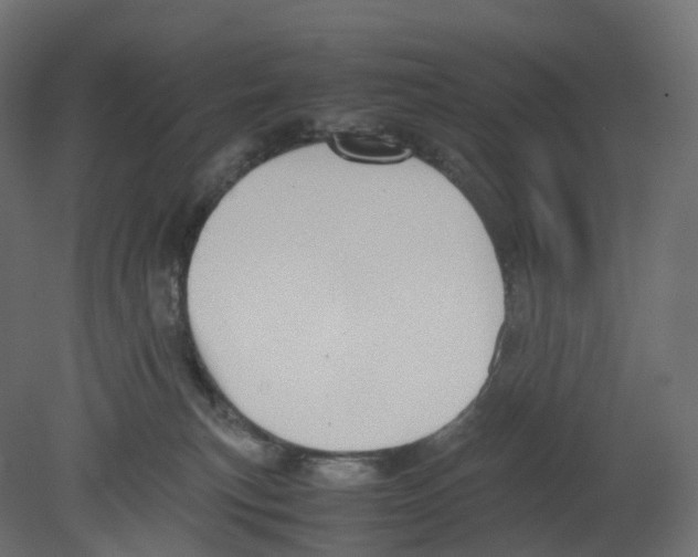 X0000080660183200701121616