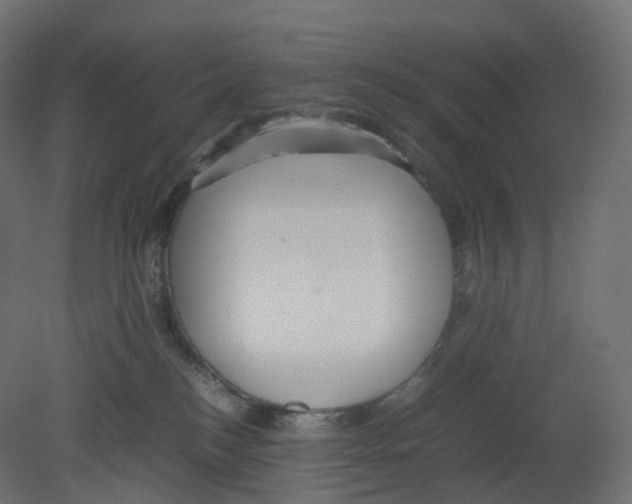 X0000080660184200701121616