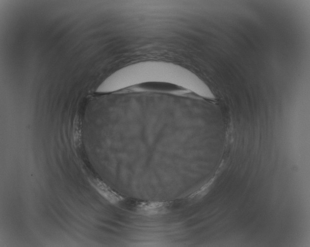 X0000080660186200701121616