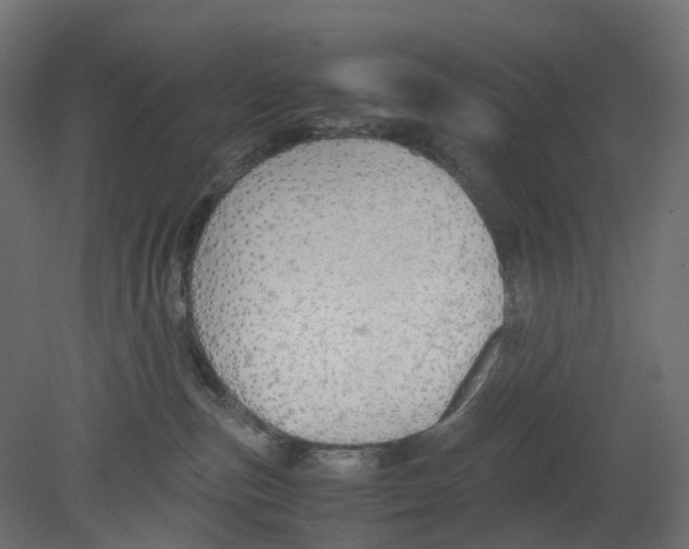 X0000080660187200701121616