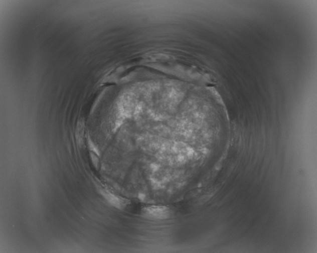 X0000080660189200701121616