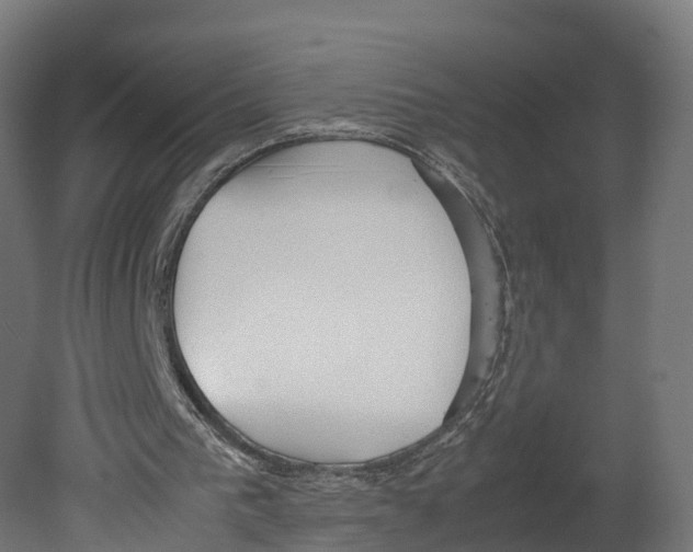 X0000080660193200701121615