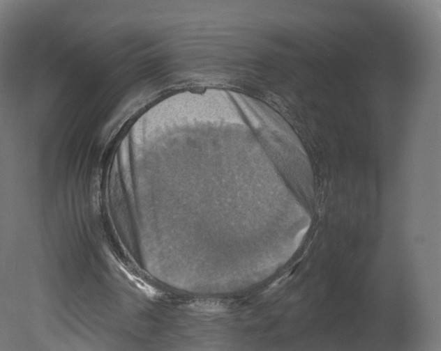 X0000080660194200701121615