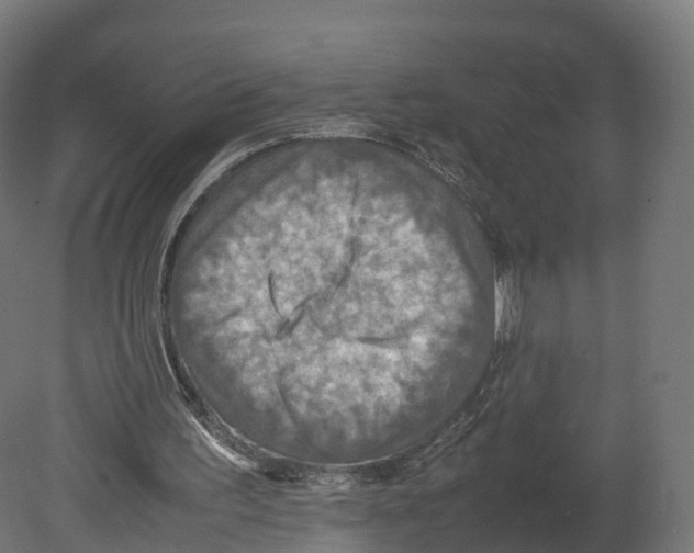 X0000080660195200701121615