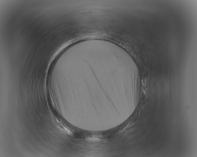 X0000080660196200701121615