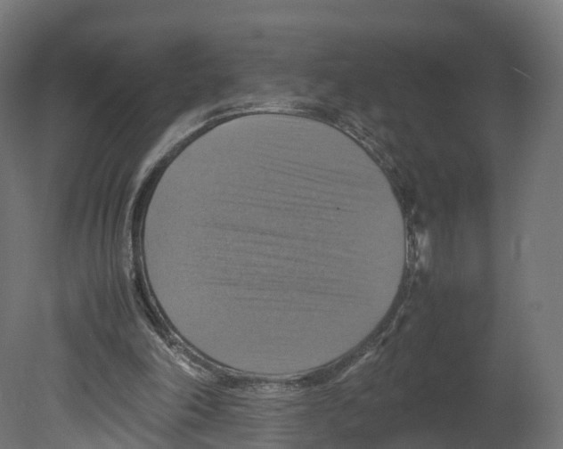 X0000080660198200701121615