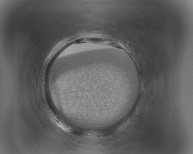 X0000080660199200701121615