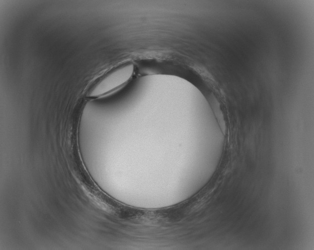 X0000080660201200701121615