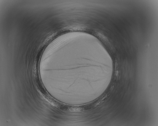 X0000080660202200701121615