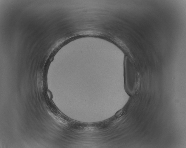 X0000080660204200701121615