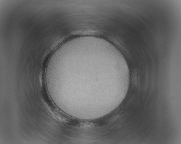 X0000080660206200701121615