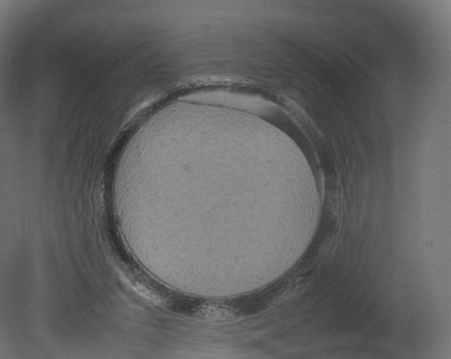 X0000080660207200701121615