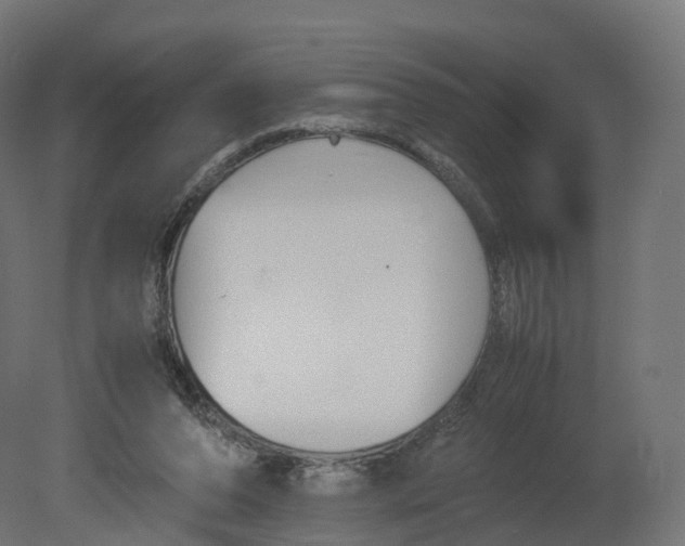 X0000080660208200701121615