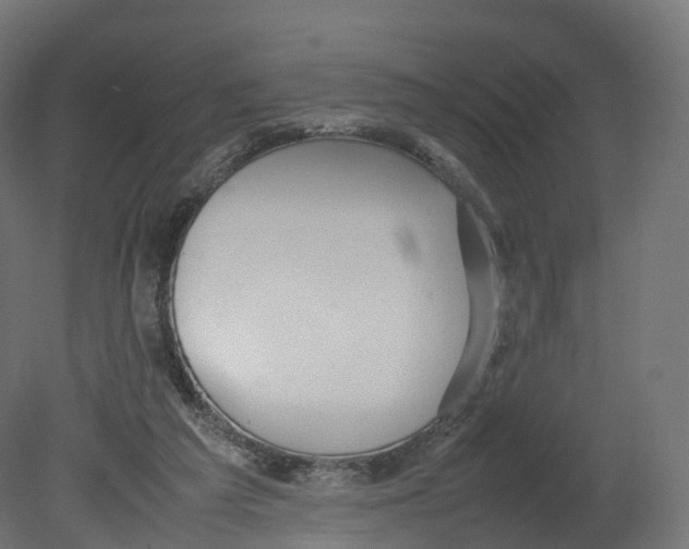 X0000080660209200701121615