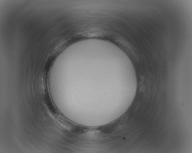 X0000080660210200701121615