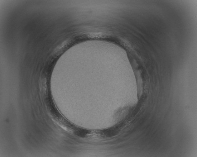 X0000080660211200701121615