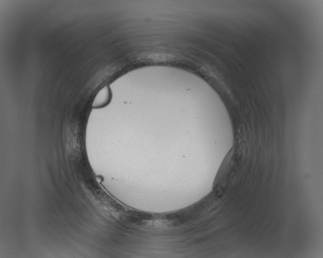 X0000080660212200701121615