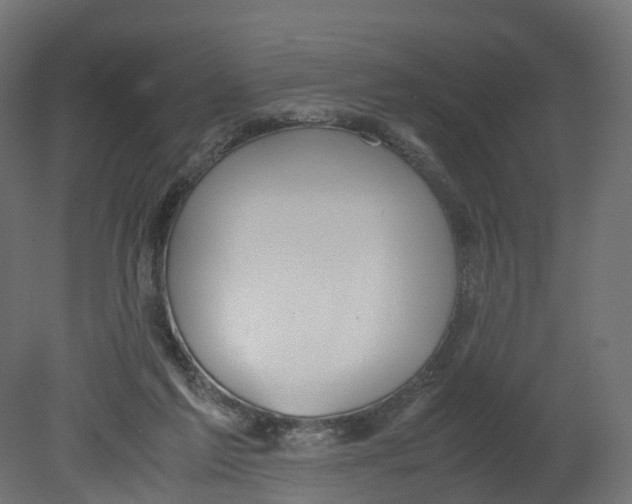 X0000080660213200701121615