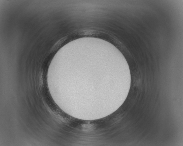 X0000080660216200701121615